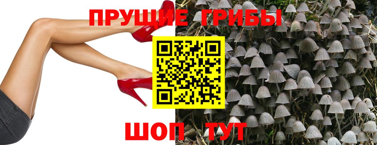 Галлюциногенные грибы мицелий  Вход с VPN  Первоуральск  Псилоцибиновые грибы Magic Shrooms 